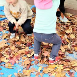 落ち葉の上で遊ぶ