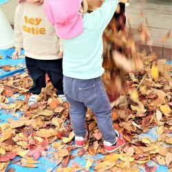 落ち葉のシャワー