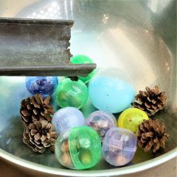 松ぼっくりを転がす