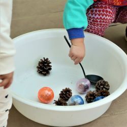 松ぼっくりをおたまですくう