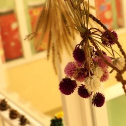 千日紅と猫じゃらし