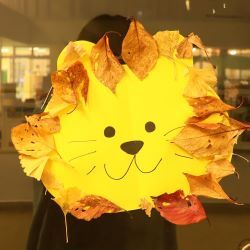 ライオンの鬣は落ち葉で