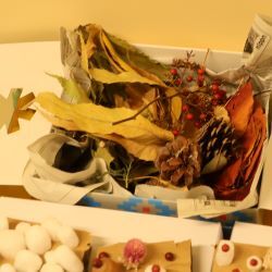 たくさんの木の実