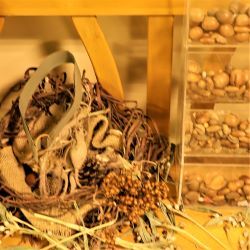 秋の自然物がいっぱい