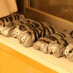 手づくりダンゴムシ