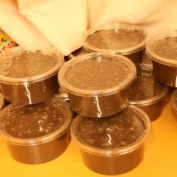 カブトムシの幼虫の飼育