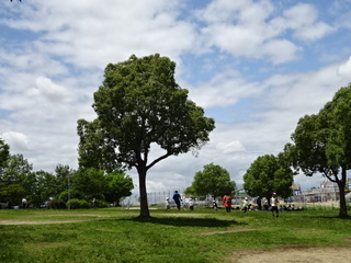 花園3