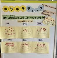 キラキラチェック