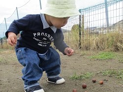 道に落ちているドングリを見つけた写真