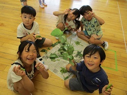 枝豆を収穫する写真