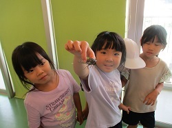 捕まえたセミを見せる写真
