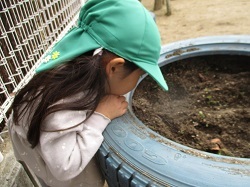 生き物を観察しています
