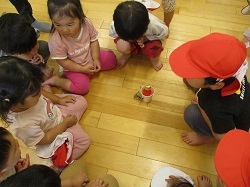 羽化したアゲハ蝶を見る写真