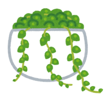 多肉植物イラスト