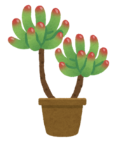 多肉植物イラスト