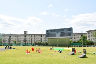 球場の様子