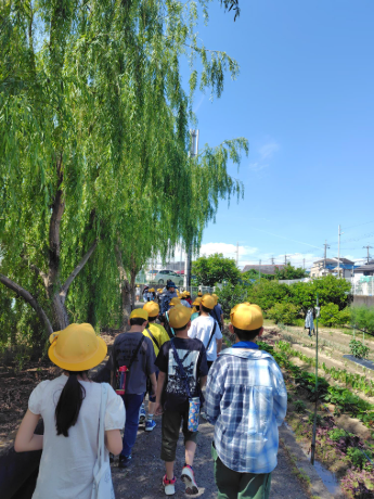 3年校区たんけん