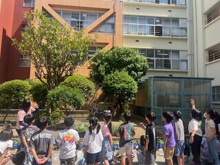 蝶2