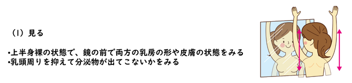 1見る 上半身裸の状態で、鏡の前で両方の乳房の形や皮膚の状態をみる。 乳頭周りを抑えて分泌物が出てこないかをみる。