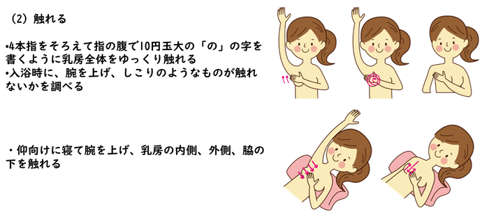 2触れる 4本指をそろえて指の腹で10円玉大の「の」の字を書くように乳房全体をゆっくり触れる。 入浴時に、腕を上げ、しこりのようなものが触れないかを調べる。仰向けに寝て腕を上げ、乳房の内側、外側、脇の下を触れる