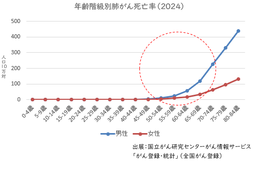 折れ線グラフ:年齢階級別肺がん死亡率2024年
