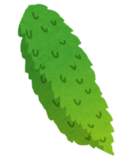 ゴーヤイラスト