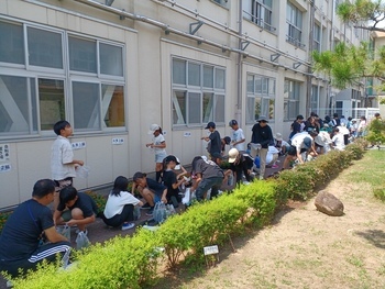 袋づめ作業の様子