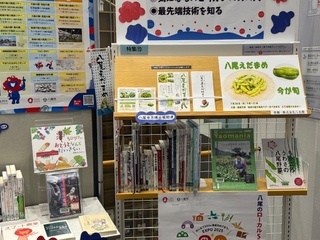 八尾図書館2階の特集コーナーの写真