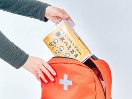 ヤマトエスロン出前04