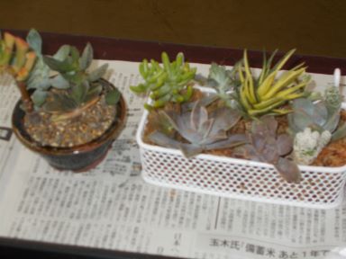 講座風景5