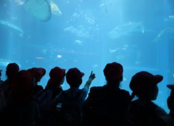 海遊館アカデミー