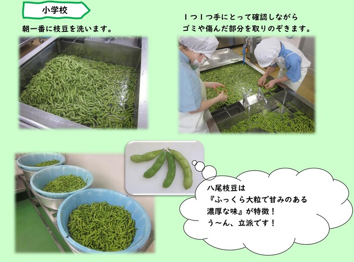 枝豆を給食室で調理している写真