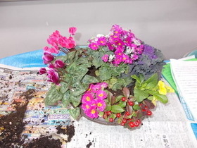 寄せ植えイメージ