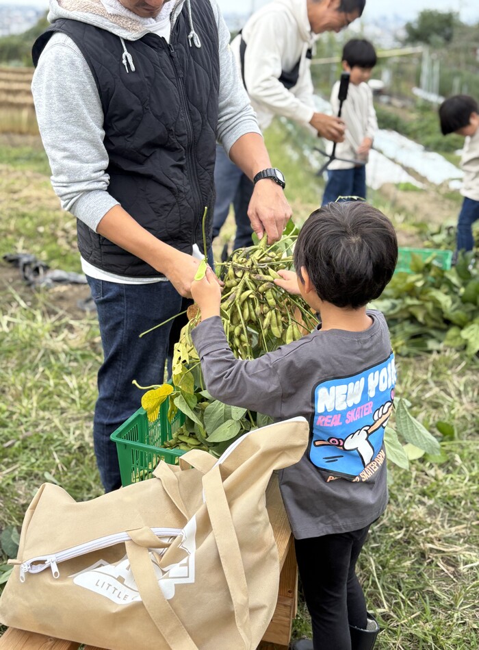 掘り取りの様子1025-1