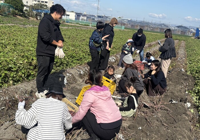 掘り取りの様子1029-1