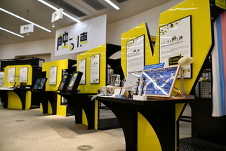 展示の様子