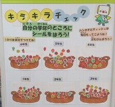 キラキラチェック