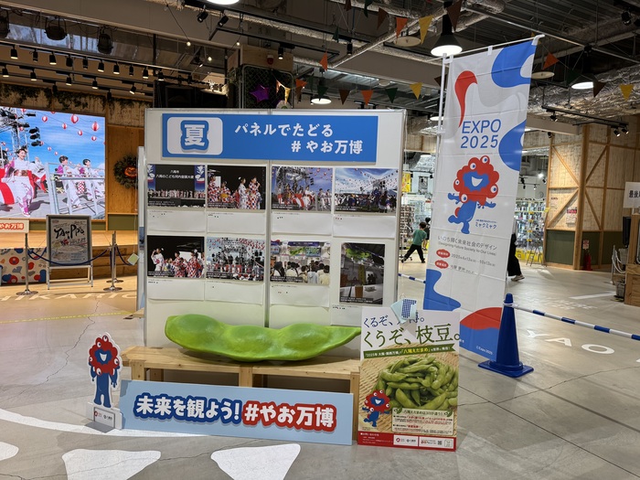 写真：パネルと展示物　夏
