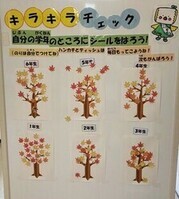 キラキラチェック