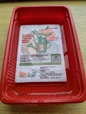 水に浸している