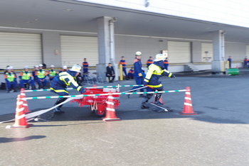 ホースカーを引いています