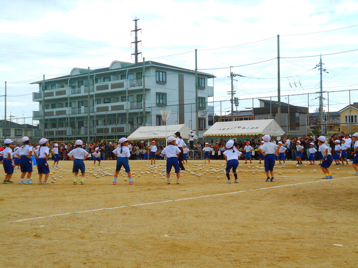 低学年団体競技
