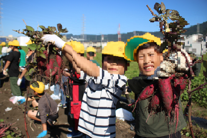 たくさんとれたよ