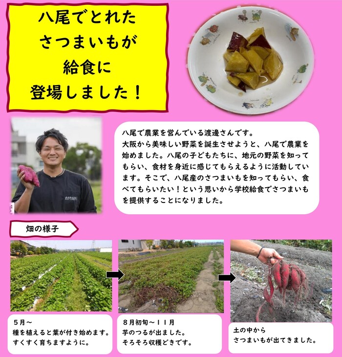 八尾産さつまいもについて