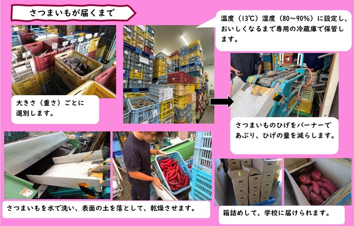 さつまいもが届くまでの様子