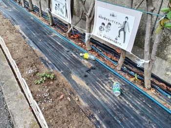花壇のごみ