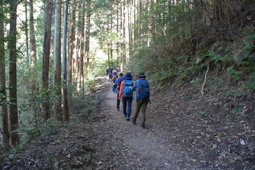 山道を歩く参加者たち