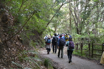 山を登る参加者たち