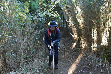 急な階段をロープを持って登る女性