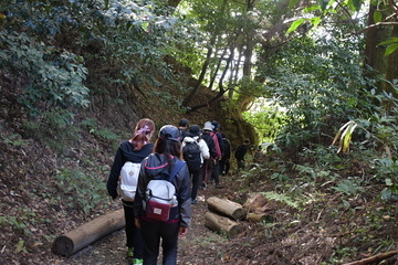 山を下る参加者たち